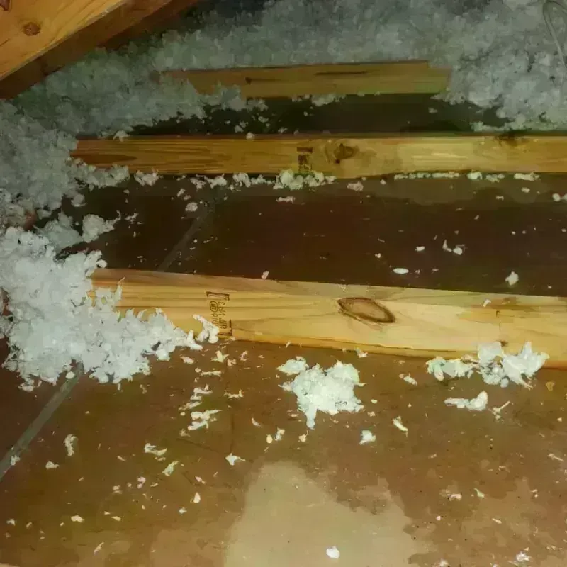 Attic Water Damage in Carrier Mills, IL