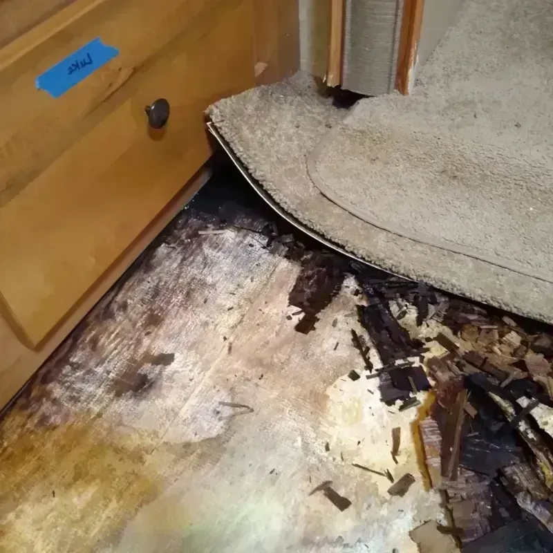 Wood Floor Water Damage in Carrier Mills, IL